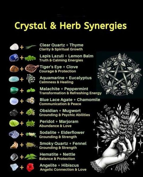 David Todd Crystal And Herb Pairings, Psychic Herbs, Green Witch Spells, Crystals For Plants, Crystal Pairings, Witch Spirituality, Grimoire Book, Magic Spell Book, Magic Herbs