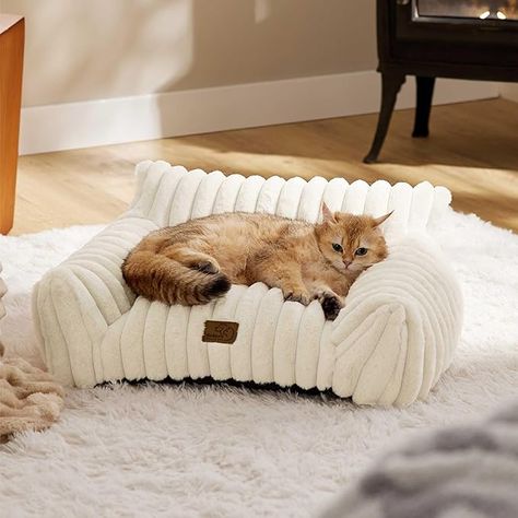 Amazon.com : Bedsure Cute Cat Couch for Pets - Fluffy Cat Sofa with Premium Soft Corduroy Fleece, Fuzzy Cat Couch Bed with Removable Washable Cover, Supportive Cat Chair for Indoor Cats, 24inch, Cream : Pet Supplies Cat Couch, Puppy Beds, Dog Bed Furniture, Cozy Spot, Peaceful Sleep, Cat Breed, House Beds, Good House, Dog Mat