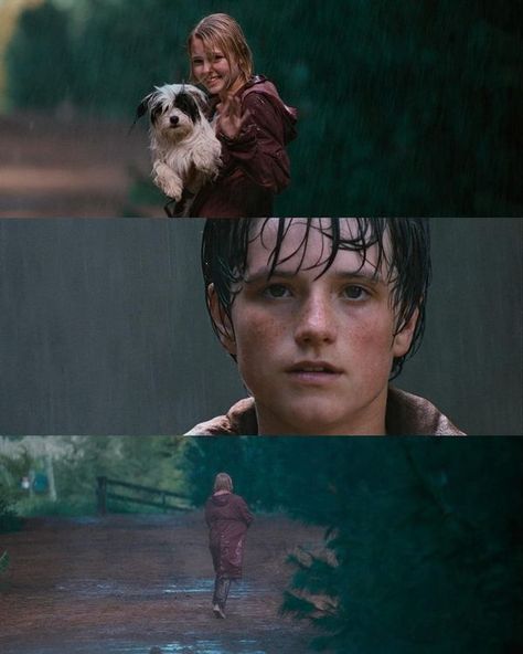 Cinephiles Bridge To Terabithia 2007, Interstellar 2014, Jojo Rabbit, Film Cult, Bridge To Terabithia, Josh Hartnett, Annasophia Robb, Batman Begins, Zooey Deschanel