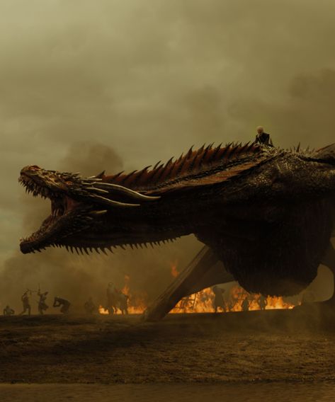 Game Of Thrones Prequel, Game Of Thrones Facts, Fire Breather, Game Of Thrones Dragons, Game Of Thrones Quotes, Fire And Blood, Got Dragons, Game Of Thrones Funny, Got Memes