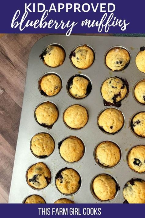 Blueberry Muffins For Baby, Meals With Recipes, Cold Lunch Ideas, Field Meals, Mini Blueberry Muffins, Mini Muffin Recipe, Toddler Muffins, Baby Muffins, Easy Blueberry Muffins