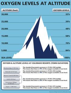 The higher you get Colorado Resorts, Mountaineering Climbing, Zhangjiajie, Mt Everest, The Oregon Trail, Brain Cells, Hiking Essentials, Ice Climbing, Brain Damage