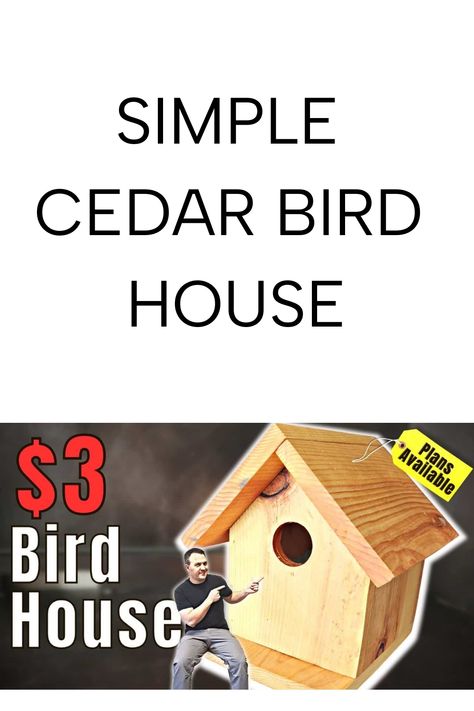 Want to attract more birds to your garden? Build a simple cedar birdhouse that’s both beautiful and functional. Save this pin to bring nature closer to home! Simple Birdhouse Plans, Easy Bird Houses To Make, Easy Bird Houses, Bird Houses Plans, Simple Birdhouse, Birdhouse Plans, Quick Woodworking Projects, Diy Birdhouse, Cedar Fence Pickets