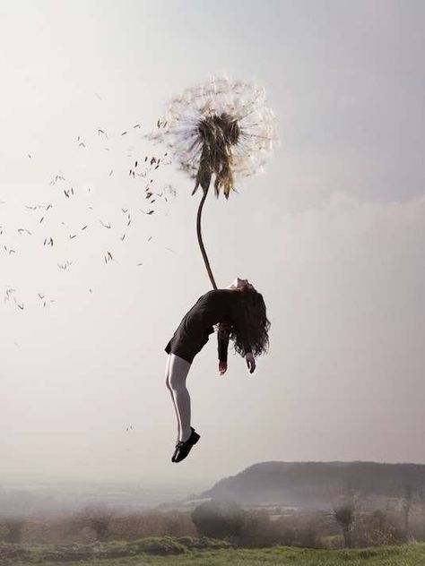 Levitation Photography, A Dandelion, Surreal Photos, Foto Tips, Surrealism Photography, Conceptual Photography, Foto Art, Pics Art, Surreal Art