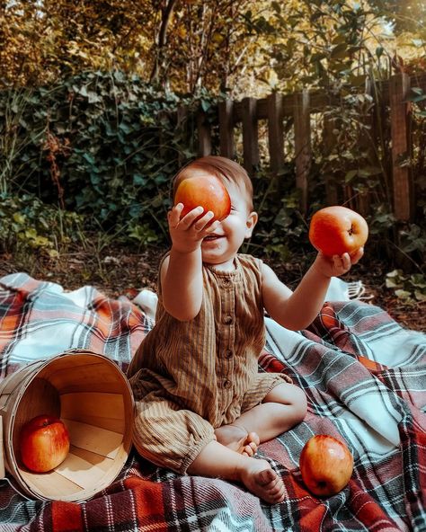 Apple Picking Photoshoot Baby, 1 Year Fall Baby Pictures, Apple Baby Photoshoot, One Year Old Fall Photos, Baby Apple Photoshoot, Apple Photoshoot, Apple Picking Photos, Fall Baby Pictures, Baby Apple