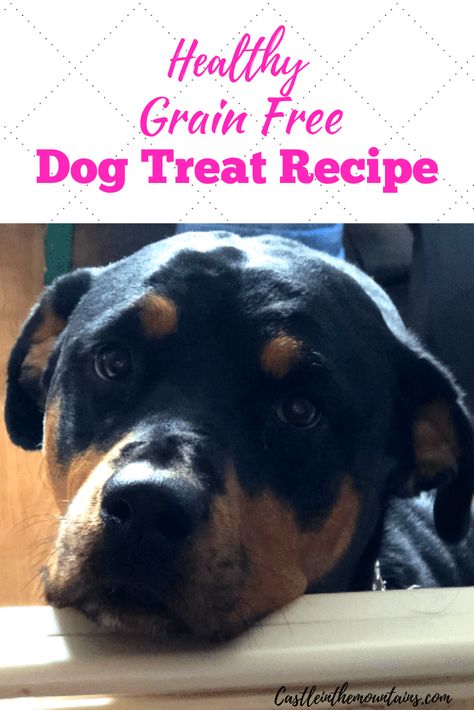 Keto dog treats for you best friend. These are easy to make, grain free, low carb and healthy for your best friend. They're tasty too! My dogs beg for these and they are a lot less expensive than store bought treats.  via @https://www.pinterest.com/castleinthemountains/ Chocolate Cheesecake Bites, Dog Treat Recipe, Sugar Free Peanut Butter, Dog Treats Grain Free, Rottweiler Love, Healthy Grains, Low Carb Chocolate, Healthy Dog Food Recipes, For Your Best Friend