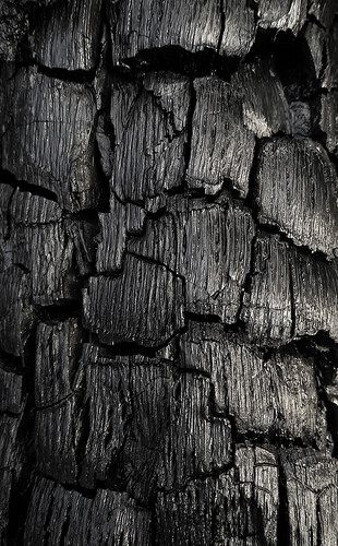 Black Raven Color, Charred Wood, Black Gold Jewelry, Texture Inspiration, Black And White Photograph, Materials And Textures, Black Textures, Surface Textures, Color Textures