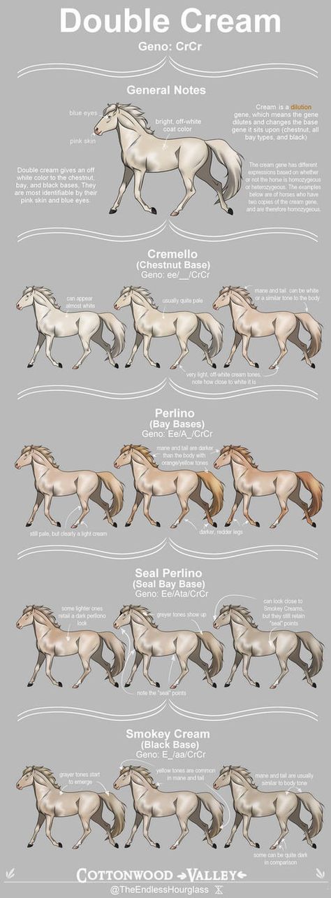 Horse Height Chart, Horse Genetics, Horse Color Chart, Horse Colours, Different Horse Breeds, Pig Breeds, Horse Markings, Horse Coat Colors, Horse Facts