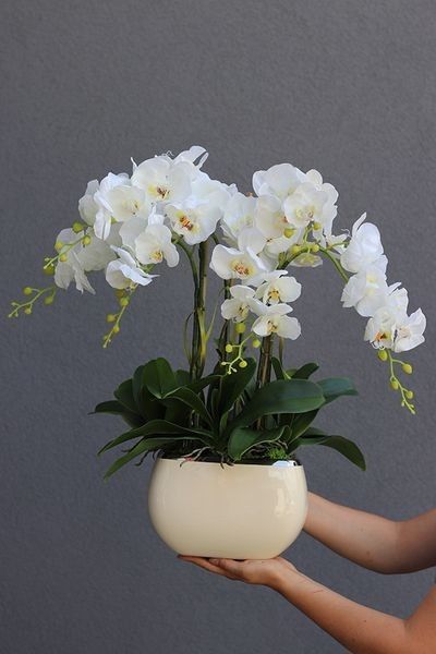 Orchid Flower Arrangements, Orchid Centerpieces, Orchid Planters, Artificial Orchids, Flower Vase Arrangements, Orchid Arrangements, Flower Arrangements Simple, Plant Decor Indoor, Vase Arrangements