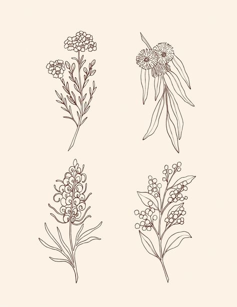 Native Flower Tattoo Australian, Native Australian Flowers Drawing, Australian Flowers Drawing, Native Flowers Australia, Australian Native Flowers Tattoo, Australian Flowers Tattoo, Australian Native Flowers Illustration, Native Flower Tattoo, Native Australian Flowers Tattoo