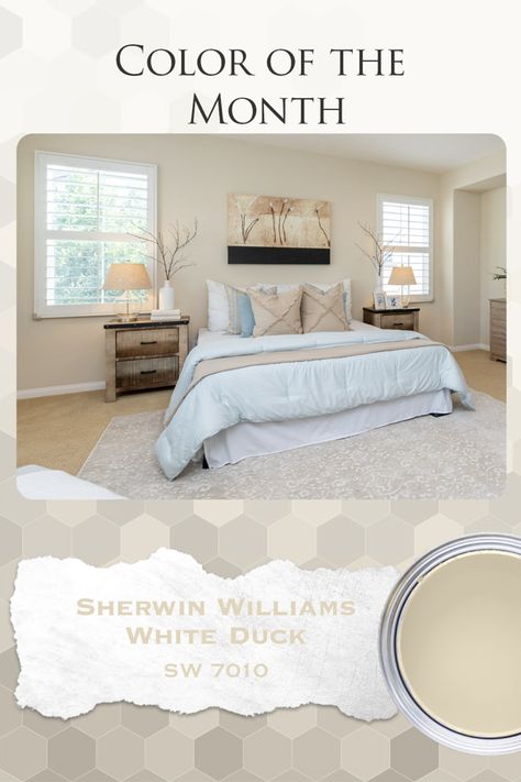 White Duck Paint Sherwin Williams, White Duck Interior Walls, Sherwin Williams Whitetail Walls, White Duck Sherwin Williams Wall Colors, Sherwin Williams White Duck Walls, Sw White Duck Coordinating Colors, Sherwin Williams Duck White, Sw White Duck Walls, Shell White Sherwin Williams