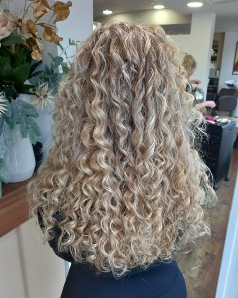 ✨ Loving this stunning transformation by Jo! Blonde curls never looked so good! 💛✨   #paulkemphairdressing #warringtonsalon #hairmakeover #hairstylist #hairmasters #blondecurls #naturalcurls Natural Curls Blonde Highlights, Champagne Blonde Curly Hair, Perms For Shoulder Length Hair, Curly Blonde Hair Naturally, Ash Blonde Curls, Blonde Curls Natural, Blonde Curly Hair Highlights, Blonde Curly Highlights, Light Blonde Curly Hair