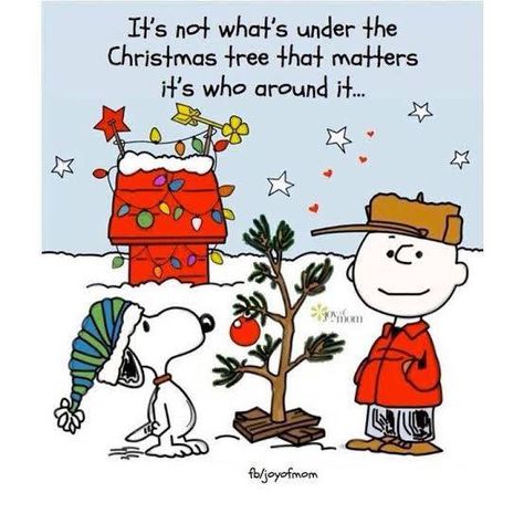 PEANUTS - Charlie Brown & Lovers | A Charlie Brown Christmas 🥰 | Facebook Famous Christmas Movie Quotes, Christmas Good Morning Quotes, Last Holiday Movie, Funny Christmas Movie Quotes, Merry Christmas Movie, Charlie Brown Christmas Quotes, Christmas Movie Quotes Funny, Last Christmas Movie, Holiday Movie Quotes