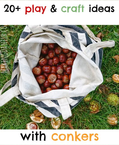 20 fun and easy craft and play ideas with conkers from the horse chestnut tree. There are ideas enough for hours of creativity and fun for kids of different ages. #conkers #nontoxic #kidstun #kidscraft #kidsplayideas #playideas #simpleplayideas #invitationtoplay #lists #horsechestnuts #chemicalfree #preschooler #toddlers #freematerials #bestof #crafting #sensoryplay #outdoorswithkids #indooractivitity Conker Play Ideas, Chestnut Crafts Ideas, Horse Chestnut Craft, Conker Crafts For Kids, Chestnut Activities For Kids, Chestnut Crafts For Kids, Conker Craft Ideas, Conker Crafts, Chestnut Crafts