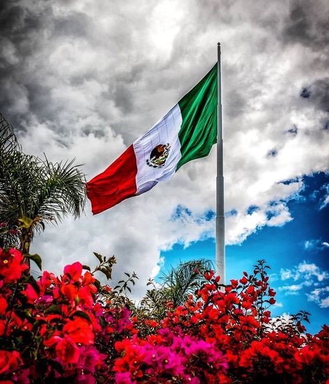 Mexico Wallpaper, Dream Vision Board, Mexico Flag, Canada Flag, Aesthetic Iphone Wallpaper, Country Flags, Wind Sock, Iphone Wallpaper, Flag