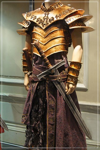 Gold Armour, Barbarian Armor, Dress Armor, Film Museum, Stephen Lang, Comic Clothes, Golden Warriors, Gold Armor, Armor Drawing