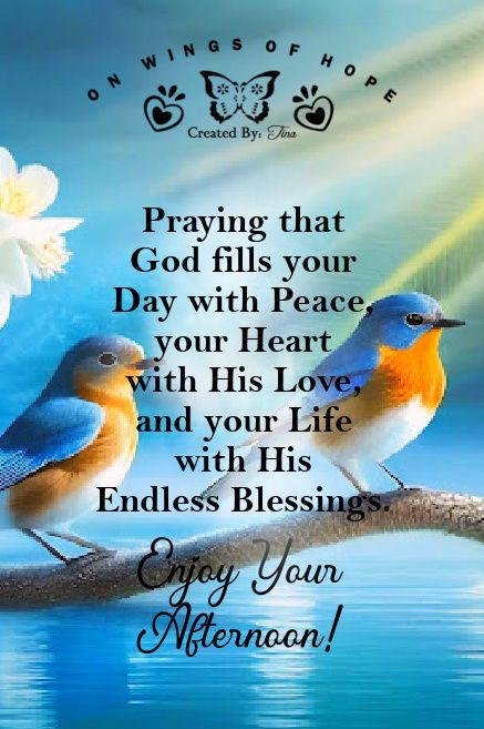 Praying that God fills your day with peace, your heart with His love, and your life with His endless blessings. Enjoy Your Afternoon! life quotes quotes positive quotes quote god life positive quote God Bless My Friend Quote, Blessings For Your Day, Spiritual Peace Quotes, Peace Blessings Quotes, Enjoy Your Day Images, Peaceful Day Quotes, Friend Blessing Quotes, Blessed Day Quotes Inspirational, Afternoon Quotes Inspiration