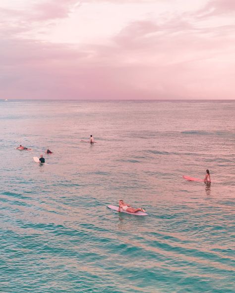 People on Beach during Sunset · Free Stock Photo Pink Beach Aesthetic, Surfer Girl Aesthetic, Surf Aesthetic, Sunset Surf, Pastel Beach, Pastel Sky, Pink Beach, Pink Sunset, Sunset Art