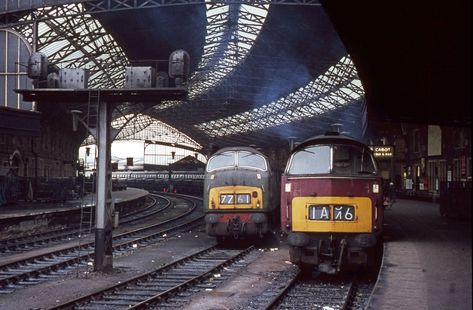 Diesel Poster, Live Steam Locomotive, Steam Trains Uk, Great Western Railway, Train Posters, Steam Railway, Rail Transport, British Railways, Western Region