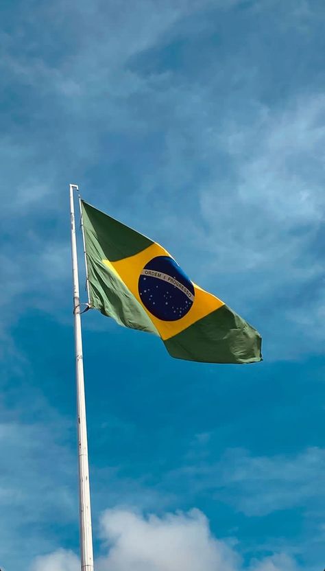 Flag Aesthetic, Brazilian Flag, Brazil, Flag, Collage, Pins, Quick Saves