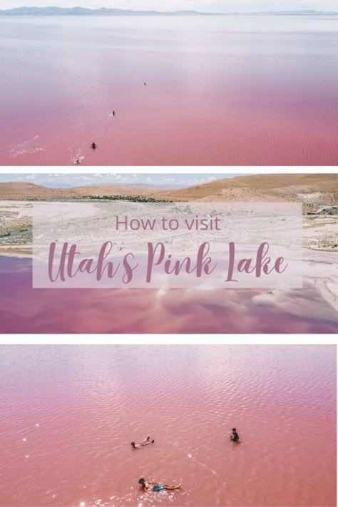 How to Find the Pink Lake in Utah | Stansbury Island #simplywander #utah #pinklake #stansburyisland Pink Lake Utah Photoshoot, Pink Salt Lake Utah, Stansbury Island Utah, Pink Lake Utah, Utah Summer Bucket List, North Utah, Places To Go In Utah, Antelope Island Utah, Sandy Utah