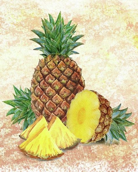 Pineapple Sketch, Watercolor Realism, Pineapple Drawing, Pineapple Painting, Fruit Art Drawings, Painting Fruit, Easy Rangoli Designs Videos, Chalk Pastel Art, Watercolor Pineapple