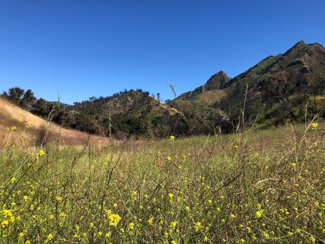 Exploring Malibu Creek State Park Malibu Creek State Park, Santa Monica Mountains, Life Adventure, Travel California, Canyon Road, Pacific Coast Highway, Malibu California, Downtown Los Angeles, Inspo Board