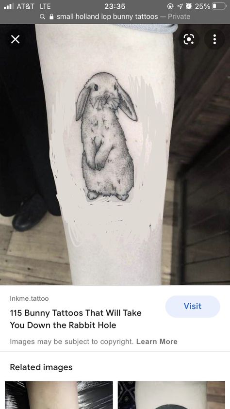 Holland Lop Bunny Tattoo, Holland Lop Tattoo, Lop Bunny Tattoo, Holland Lop Bunny, Holland Lop Bunnies, Lop Bunny, Bunny Tattoo, Bunny Tattoos, Holland Lop