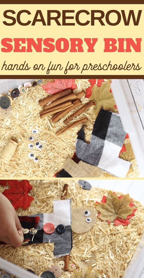 Scarecrow Sensory Bin, Preschool Scarecrow, Build A Scarecrow, Fall Sensory Bin, Fall Sensory, Preschool Fall, Reggio Classroom, Halloween Sensory, October Activities