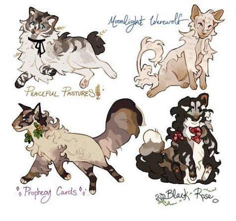 Warrior Cat Names, Cats Art Drawing, Kitten Drawing, Time Change, Cat Anatomy, Warrior Cats Fan Art, Warrior Cat Drawings, Warrior Cat Oc, Cat Oc