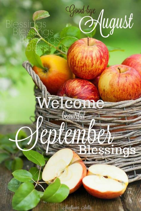 Palm Trees Tumblr, Hello September Images, Maple Tree Tattoos, September Pictures, September Images, September Quotes, Birch Tree Wedding, Welcome September, Apple Picture