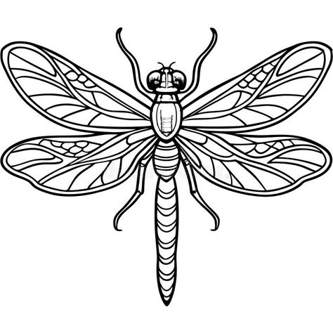 Easy To Draw Dragonfly, Dragon Fly Line Art, Dragon Fly Stencil, Line Art Dragonfly, Dragon Fly Drawings, Dragonfly Line Art, Drawing Dragonfly, Dragonfly Sketch, Dragonfly Drawings