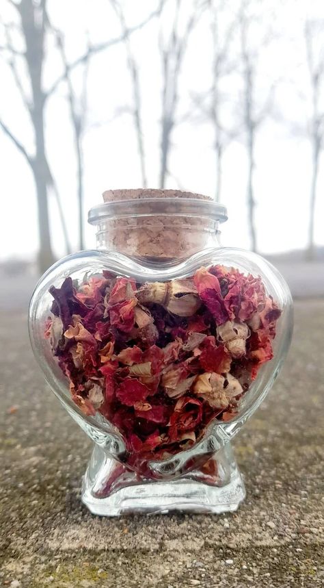 Naturally fragrant dried rose petals are perfect for your apothecary. Roses are associated with love, which is why rose petals are commonly used for love spells, glamour spells, even protection. 🌹These roses were charged under the Full Moon in Virgo, March 7, 2023 🌹 Love Bottle Spell, Rose Petals Magical Properties, Love Spell Bottle, Rose Spell Jar, Glamour Spell, Rose Petal Spell Jar, Virgo Moon, Dried Rose Petals, Dried Floral