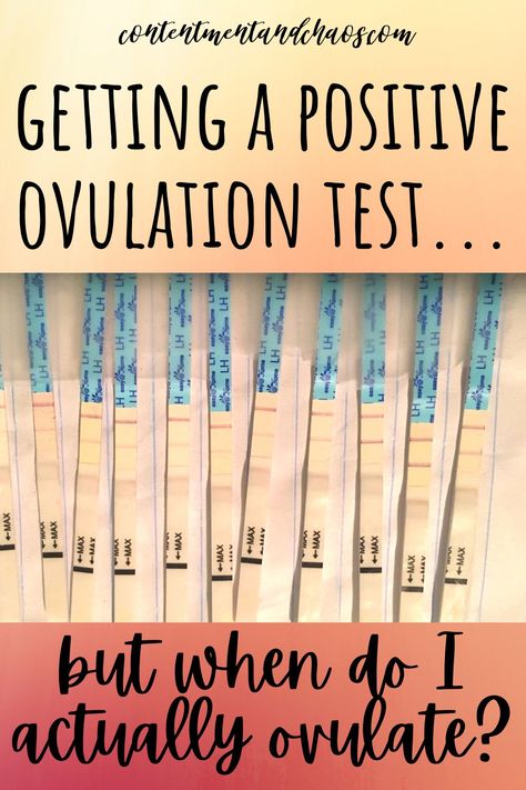 How do you track your ovulation with ovulation test strips or an ovulation predictor kit? Follow these instructions to know for sure when you actually ovulate. Trying to conceive tips and ovulation signs. #ttc #ttctips #fertility Conception Calendar, Ovulation Signs, Trying To Conceive Tips, Ovulation Symptoms, Ovulation Cycle, Fertility Tracking, Ovulation Tracking, Getting Pregnant Tips, Ovulation Test