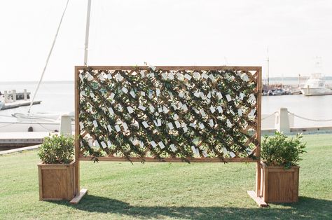 Pumpkin trellis