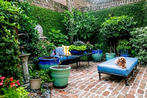 Charleston Gardens, Garden Rock Border, Small Yard Landscaping, Small Yards, Courtyard Gardens Design, Southern Garden, Formal Garden, Walled Garden, Patio Plants