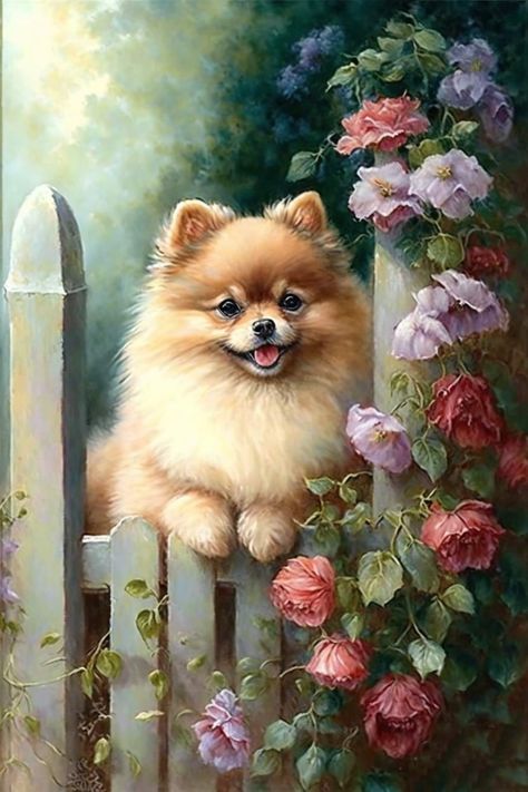 Welcome To The Group, Pomeranian Dog, Not Allowed, Flowers, Bonito