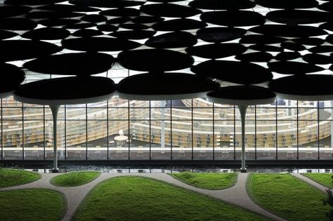 The College of Social Sciences building at the National Taiwan University, Toyo Ito; Taiwan. Image © Iwan Baan Iwan Baan, Lebbeus Woods, Toyo Ito, Old Abandoned Houses, Rem Koolhaas, University Library, Taipei Taiwan, Classical Architecture, Zaha Hadid