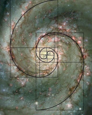 Fibonacci Sequence In Nature, Fibonacci Golden Ratio, Starověký Egypt, Divine Proportion, Geometry In Nature, Golden Spiral, Sacred Geometry Symbols, Fibonacci Sequence, Fibonacci Spiral