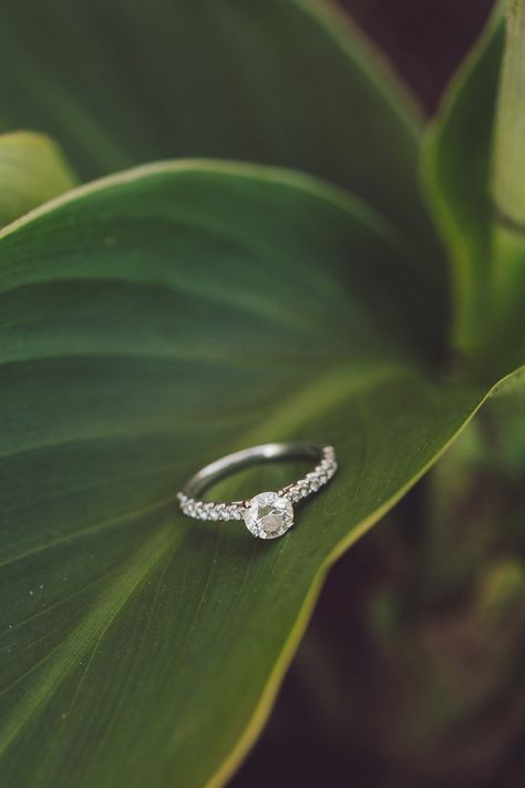 Round engagement ring with diamond band on large tropical leaf  #ringshot #ringshotinspo #rounddiamondring #macrophotography Rings Product Shoot, Ring Photoshoot Ideas Aesthetic, Ring Product Shoot, Rings Videography Ideas, Ring Jewelry Photography, Outdoor Jewelry Photography, Diamond Jewellery Photoshoot, Ring Photography Creative, Rings Photoshoot Ideas