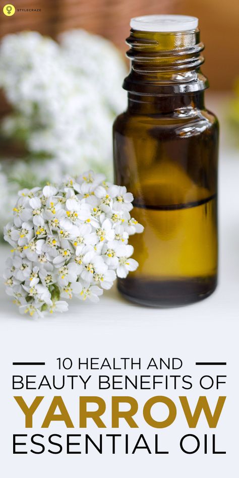 Amber Moodboard, Earths Elements, Aromatherapy Garden, Benefits Of Yarrow, Yarrow Oil, Witches Apothecary, Yarrow Essential Oil, Prioritize Your Health, Natural Beauty Secrets