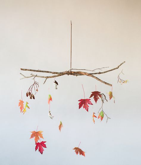 Yard Work Ideas, Ideas For Yard, Leaf Mobile, Nature 4k, Palm Leaf Art, Kids Art Class, Fallen Leaves, Autumn Crafts, Yard Work