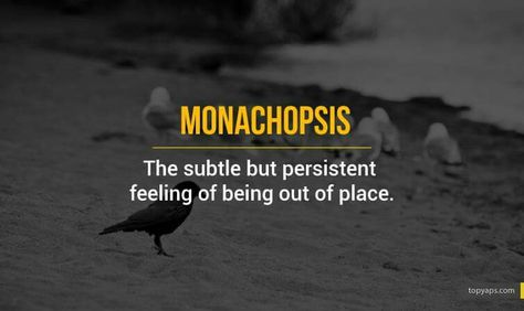 Monochopsis Dictionary Of Obscure Sorrows, Smarty Pants, Enjoy Writing, The Fault In Our Stars, More Words, New Words, Just Me, We Need, Cool Words