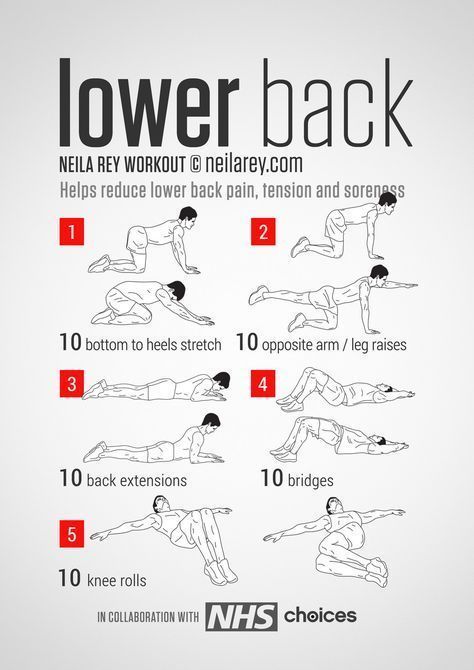 Lower Back Workout, Neila Rey Workout, Ab Workout Machines, Middle Back Pain, Back Stretches For Pain, Lower Back Pain Exercises, Lower Back Pain Relief, Nerve Pain Relief, Lower Back Exercises