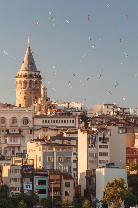 (Istanbul, Turkey) From the city’s ancient archaeological origins to the legacy of the Ottoman empire, Istanbul is a place of culture, diversity, and rich history. A visit to the Turkish city promises incredible views, stunning art, fiery football matches, a unique creative scene, distinct European and Asian influences, and incomparable pide. If you’re planning to venture to this storied hub, look no further. | Passion Passport Ap European History, Design Booklet, Istanbul Travel Guide, History Background, Empire Ottoman, London Travel Guide, Changchun, Istanbul Travel, Asian History