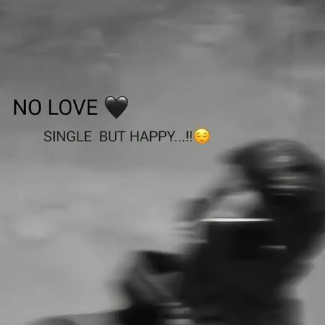 No Love Single, No Love Single Dp, Single But Happy, No Love Dp, Single Dp, No Love, Whatsapp Dp, Mood Board, On Instagram