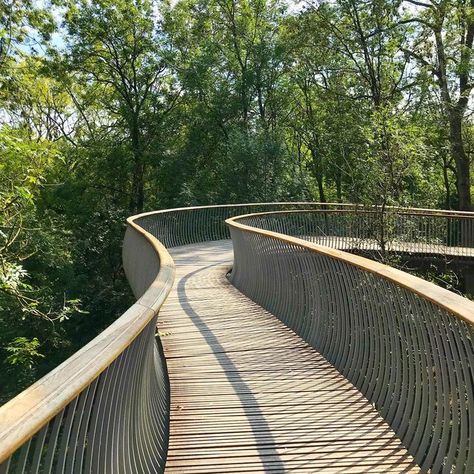 Bridge Landscape Architecture, Treetop Walkway, Living Bridge, Elevated Walkway, Tree Bridge, Mark Thomas, Small Bridge, Arch House, Tropical Architecture