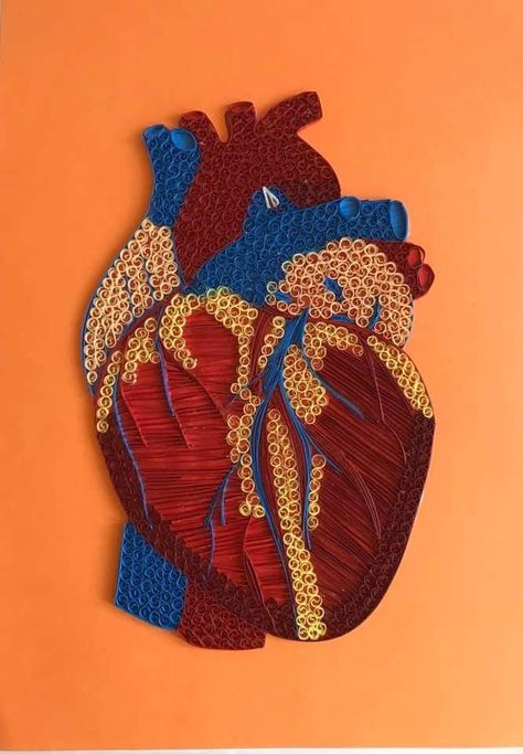 Biology Projects, Bullet Journal Cover Ideas, Quilling Work, Quilled Paper Art, Science Projects For Kids, Quilling Paper Craft, Younger Brother, Quilling Patterns, Human Heart