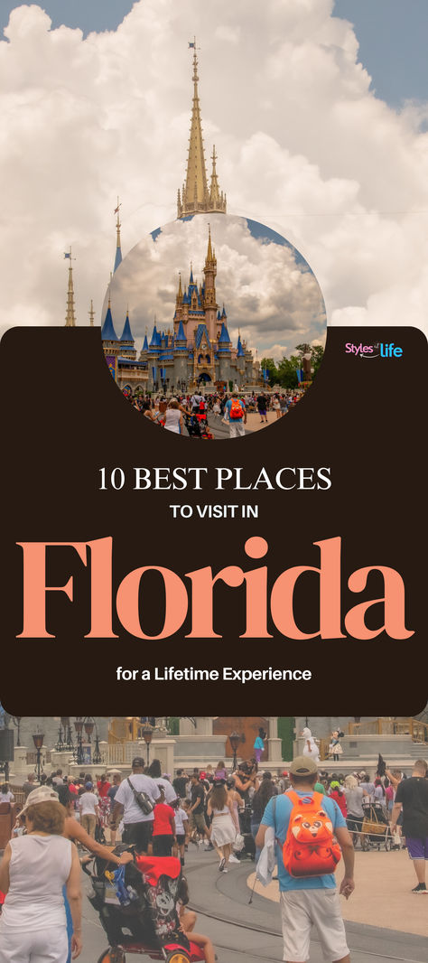 Take a look at our list of Florida’s iconic tourist spots and state attractions, all of which promise an unforgettable exploration of this vibrant and dynamic state. Places To Visit In Florida, Places In Florida, Tourist Spots, Tourist Places, Sunshine State, Best Places To Visit, The Sunshine, Family Vacation, Cool Places To Visit