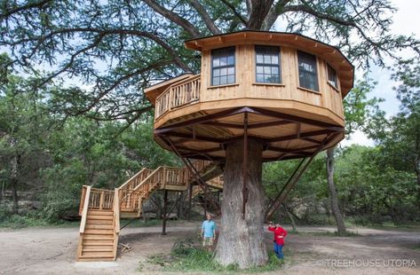 Bibliotheque Round Treehouse Wraps Around An 800 Year Old Cypress Tree! Bald Cypress Tree, Luxury Tree Houses, Beautiful Tree Houses, Tiny House Vacation, Tree House Plans, Backyard Trees, Tree House Diy, Tiny House Talk, Cool Tree Houses